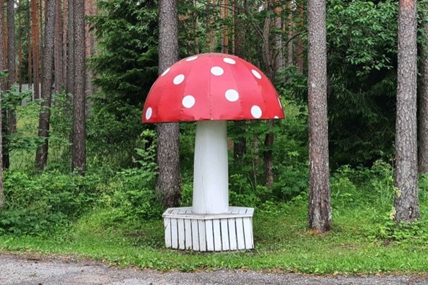 Hiiglaslik kärbseseen, mis on ehitatud