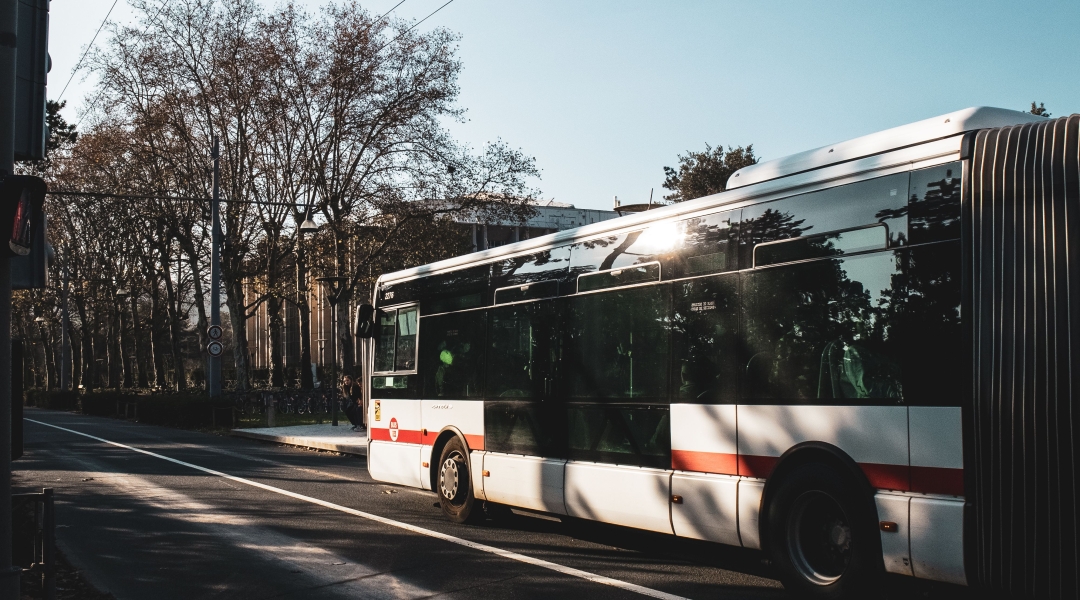 Buss.jpg